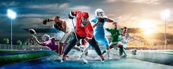 大谷翔平社媒粉丝数再创新高